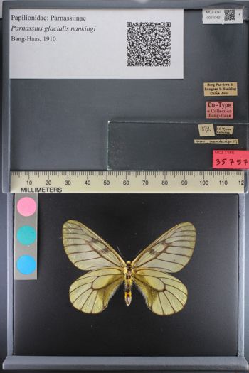 Media type: image;   Entomology 210421